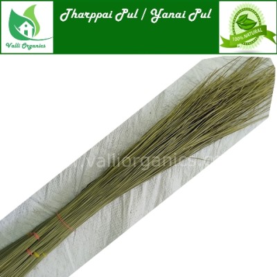 Tharppai Pull | Kusa Grass | Kusha 100pc