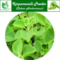 Karpooravalli Powder | Ajwain | Patherchur | Doddapatre | Coleus Amboinicus 100gm