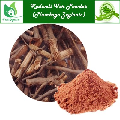 Kodiveli Ver Powder | Leadwort | Chitrak | Agnipaavaka | Plumbago Zeylanic 100gm