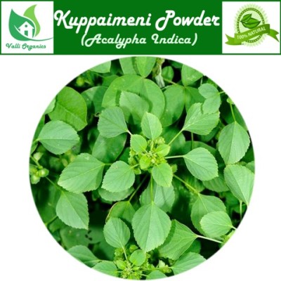 Kuppaimeni Leaves Fresh | Indian Nettle | Khokali | Kuppi Cheddu | Khajote | Acalypha Indca 100gm