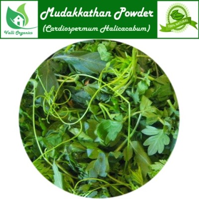 Mudakkathan Keerai Fresh | Ballone Vine | Kapalphodi | Cardiospermum Halicacabum 100gm