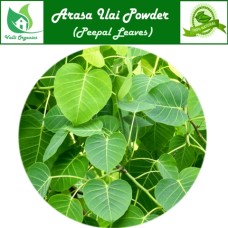 Arasa Ilai Fresh | Peepal Leaf | Pipalamu | Aswantha | Ravi | Ficus Religiosa 100gm