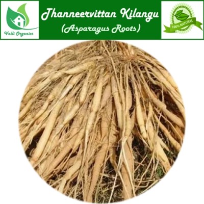 Thanneer Vittan Kilangu Powder | Adharvela | Ashadhi | Asparagus Racemosus 100gm