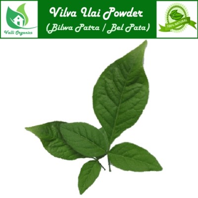 Vilva Ilai Powder | Bael | Bela Phal | Sriphal | Bilva | Koovalam | Aegle Marmelos 100gm