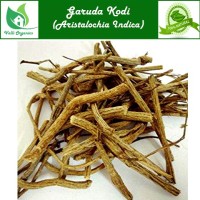 Garuda Kodi | Indian Birthwort | Iswaramul | Ishwara beru | Aristolochia indica 100gm