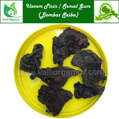 Ilavam Pisin | Silk Cotton Tree Gum | Semal Gum| Shalmali | Buruga | Bombax Seiba 100gm