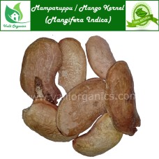 Mam Paruppu | Mango Kernel | Aam | Mamidi | Mavu | Mangga | Mangifera Indica 100gm