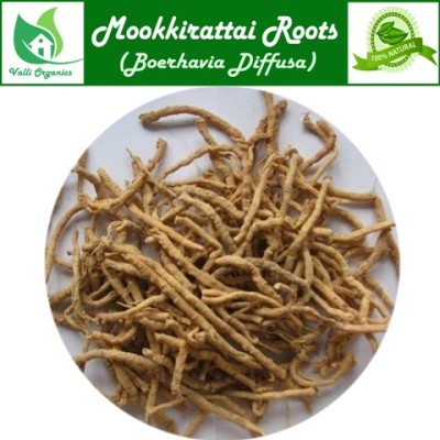 Mookkirattai Keerai Fresh | Red Hogweed | Punarnava | Komme | Boerhavia Diffusa 100gm