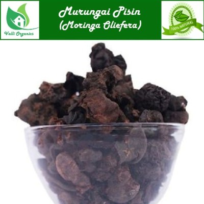 Murungai Pisin | Drumstick Tree Gum | Ahijan | Munaga | Mochakamu | Moringa Oliefera 100gm