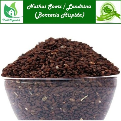 Nathai Soori | Landrina | Madanaganthi | Madana Budumachi | Borreria Hispida 100gm