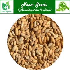 Veppam Kottai | Neem Seeds | Neem Akharot | Bevina Kayi | Azadirachta Indica 100gm