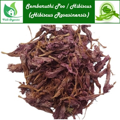 Sembaruthi Poo | Hibiscus Flowers | Dasavala Huvu | Hibiscus Rosasinensis 100gm