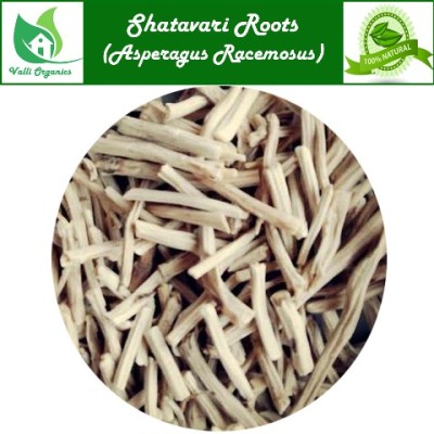 Thanneer Vittan | Shatavari Roots | Adharvela | Ashadhi | Asparagus Racemosus 100gm