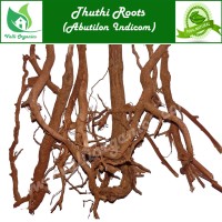 Thuthi Roots | Indian Mallow | Kanghai | Duvvena Kayalu | Abutilon Indicum 50gm