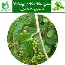 Vai Vilangam | False Pepper | Vaividang | Vayu Vilanga | Emblica Ribes Burm 100gm