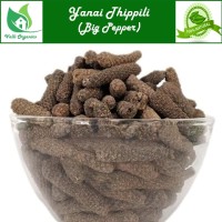 Yanai Thippili | Big Pepper | Hippali | Pippali | Kattuthippili | Piper Longum 100gm